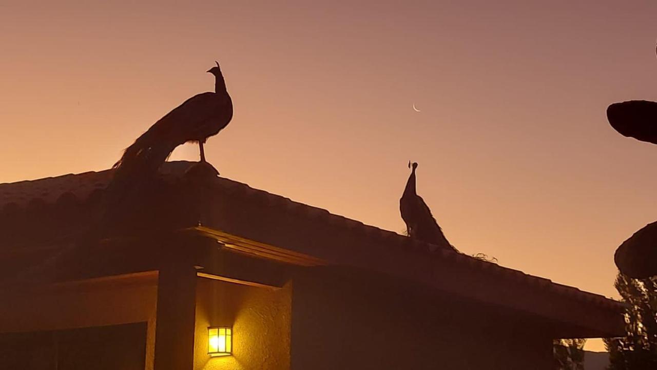 Alojamiento Los Nogales Санта-Крус Экстерьер фото